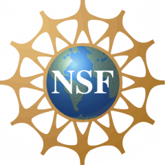 Congratulations NSF and NSERC Fellowship Recipients!